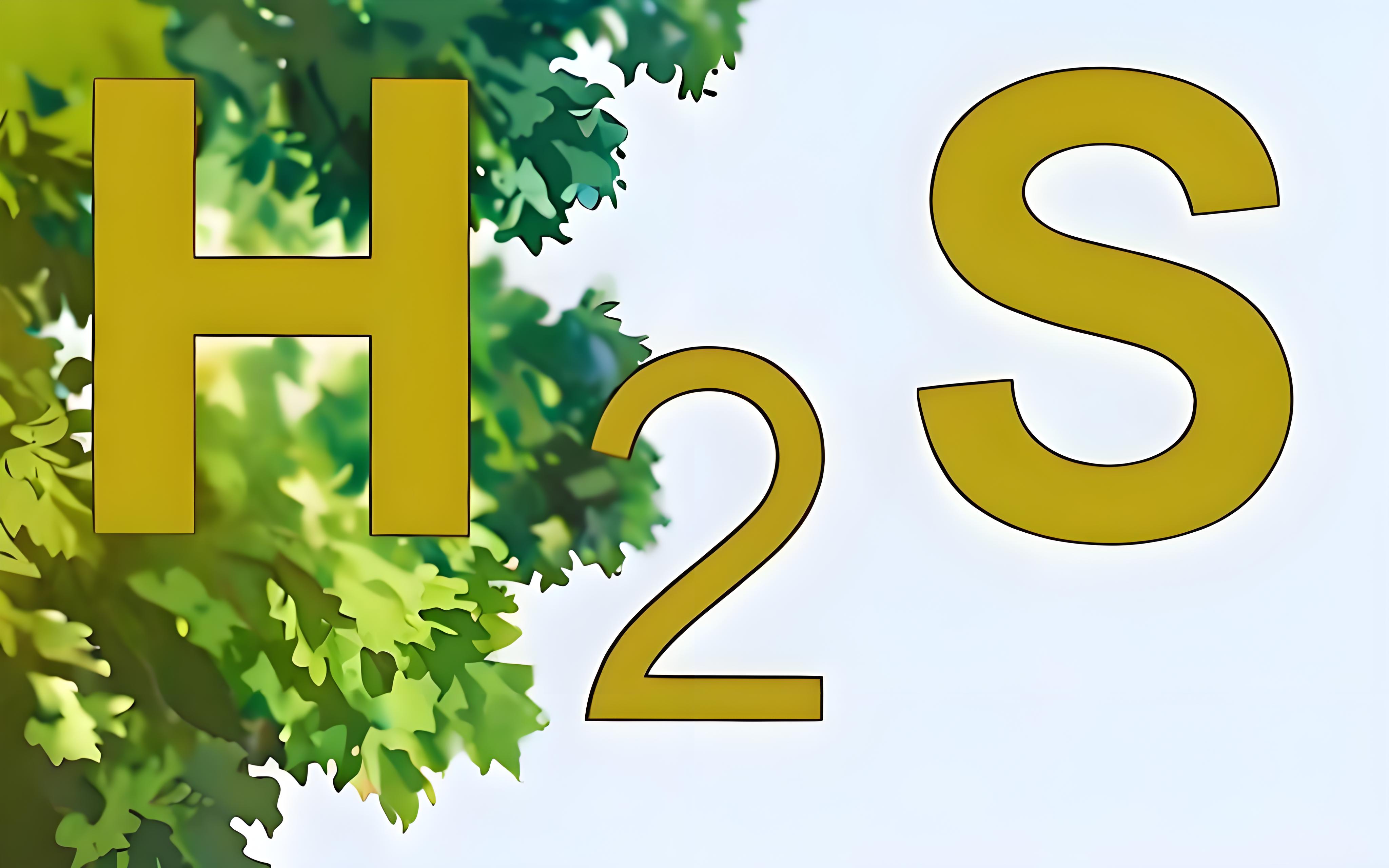 氣體檢測儀氫氣報警閾值和硫化氫的有什么區別？